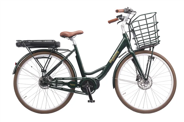 Mustang Augusta Electric Center 28